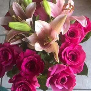 Meet your Posher, Elisa